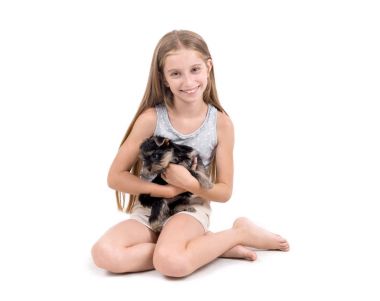 köpek yavrusu york ve küçük kız