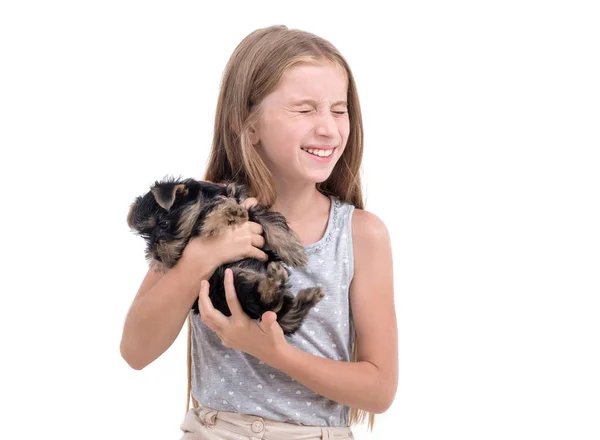 Puppy york and little girl — Stock Photo, Image