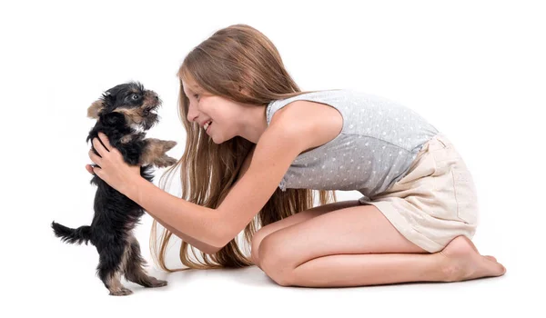 子犬と少女 — ストック写真