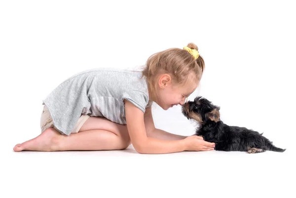 Puppy york and little girl — Stock Photo, Image