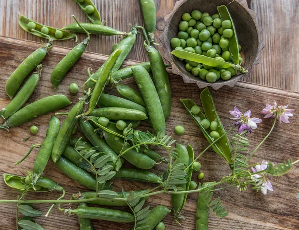 Taze yeşil bezelye sağdan bir Bahçe, TOPVIEW