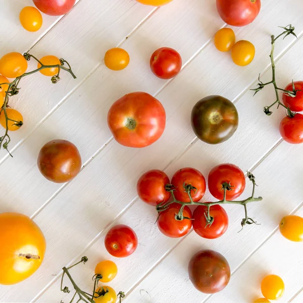 Una variedad de tipos de tomate — Foto de Stock