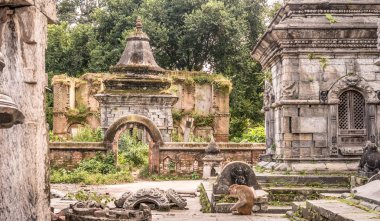 Pashupatinath Tapınağı çevresinde beyaz küçük tapınaklar duvarla. Katmandu, Nepal, Asya.