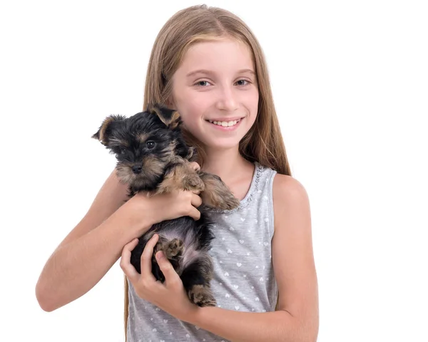 Puppy york and little girl — Stock Photo, Image