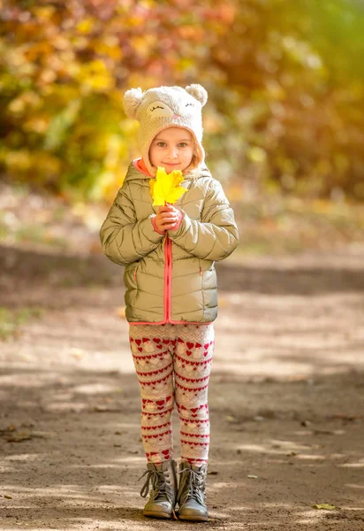 Niña en un bosque de otoño — Foto de Stock