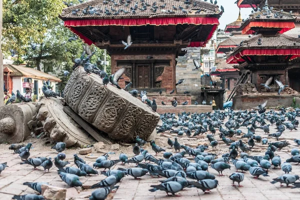 Kyyhkysiä aukiolla Kathmandussa, Nepalissa — kuvapankkivalokuva