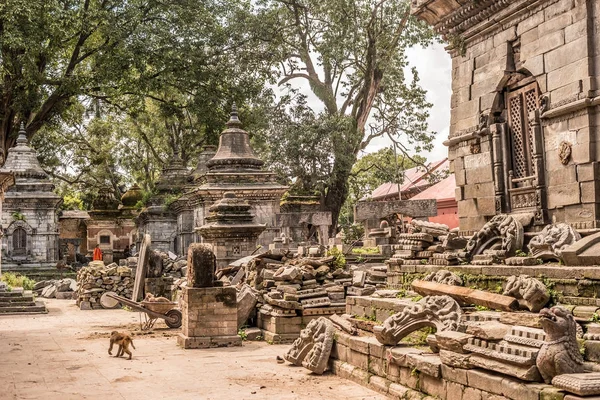 Parede com pequenos templos brancos em torno do templo de Pashupatinath. Kathmandu. — Fotografia de Stock