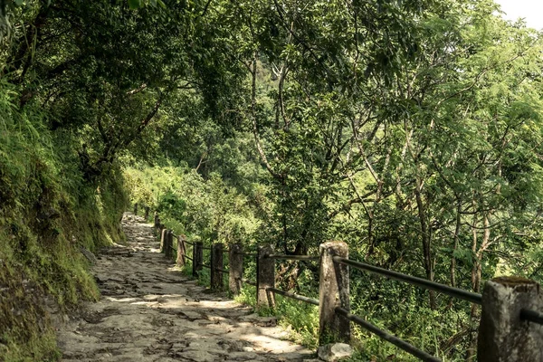 Percorso di trekking nel bosco, circuito dell'Annapurna, Nepal — Foto Stock