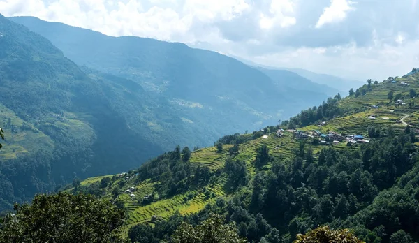 Grünes Tal mit Reisterrassen, Annapurna-Rundweg, Nepal. — Stockfoto