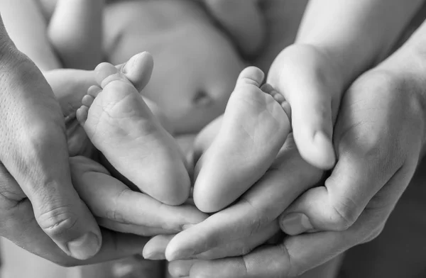 Pies de bebé en manos de mamá y papá — Foto de Stock