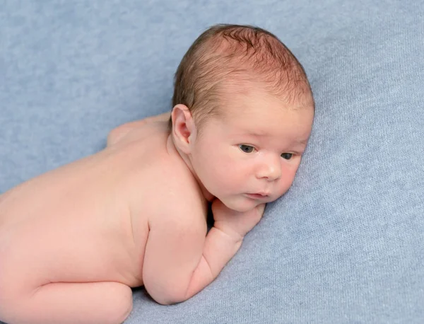 Adorable newborn baby lies on grey blanket — Stock Photo, Image