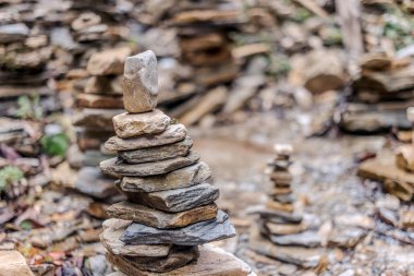 Fındık ve bal ile servis Peynir tabağı