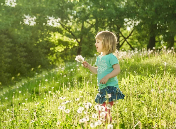 Niña feliz en el campo — Foto de Stock