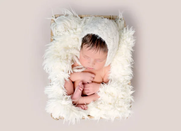 Yeni doğan bebek uykuda arka bacakları üzerinde kıvrılıp — Stok fotoğraf