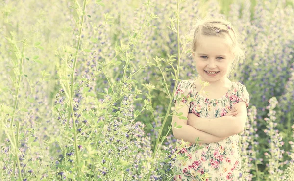 Little girl with her arms folded, spring field — Stock Photo, Image