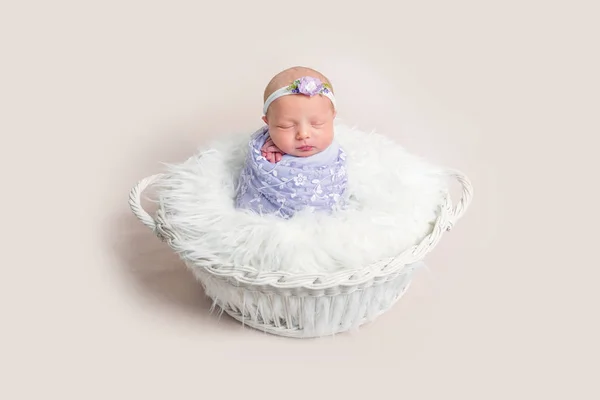 Yeni doğan bebek güzel kız mor kozaya sarılı — Stok fotoğraf