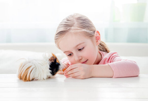 Little girl feeding her guinea pig — Stock Photo, Image