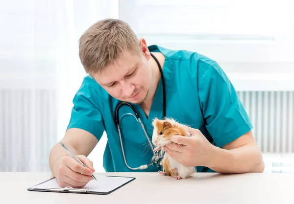 Médecin vétérinaire examinant animal de compagnie et prenant des notes — Photo