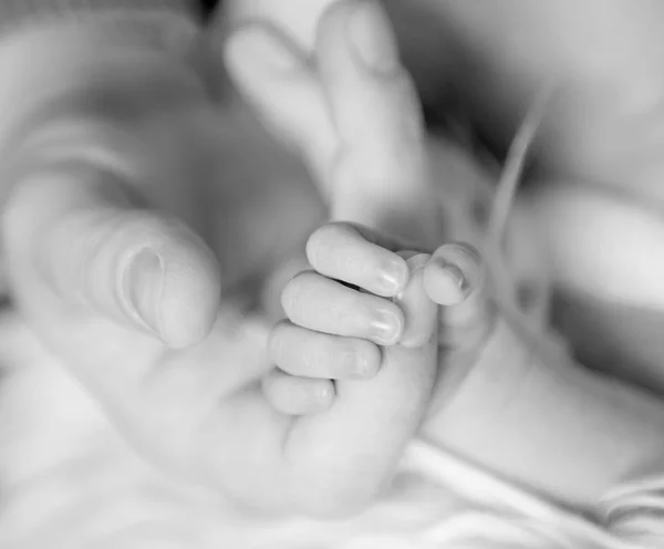 Newborn baby gently holding parents finger, black and white — Stock Photo, Image