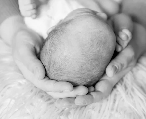 父母双手温柔地抱着婴儿的头 — 图库照片
