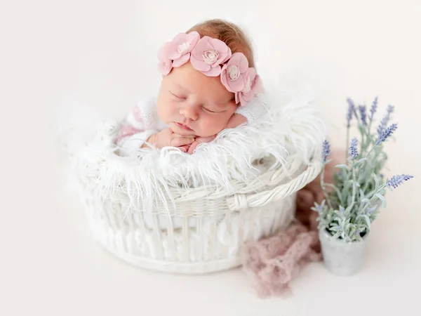 Sweet newborn in basket — Stock Photo, Image