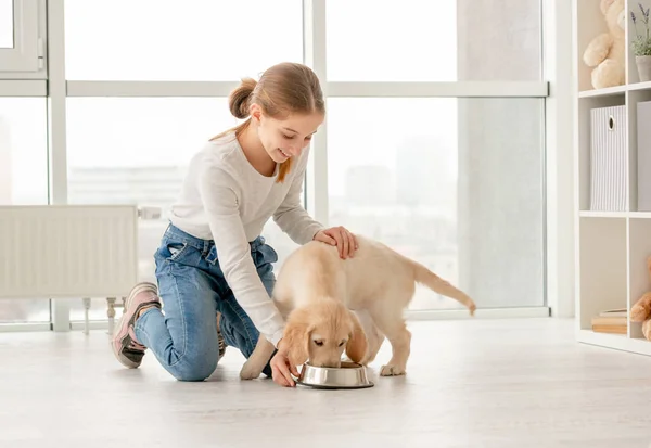 Gelukkig meisje naast eten puppy — Stockfoto