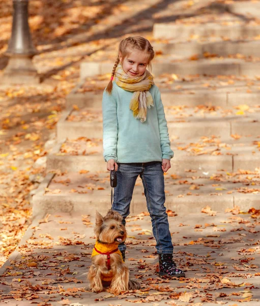 Linda chica con yorkshire terrier — Foto de Stock
