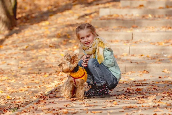 Nettes kleines Mädchen mit Terrier — Stockfoto