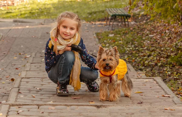 Chica al lado de yorkshire terrier — Foto de Stock