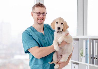 Veteriner sağlıklı bir köpek tutuyor.