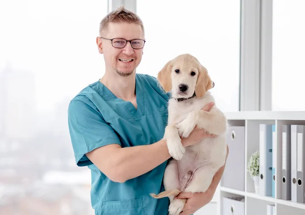 Veteriner sağlıklı bir köpek tutuyor. — Stok fotoğraf