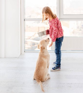 Genç köpek, kızın yanında oturuyor.