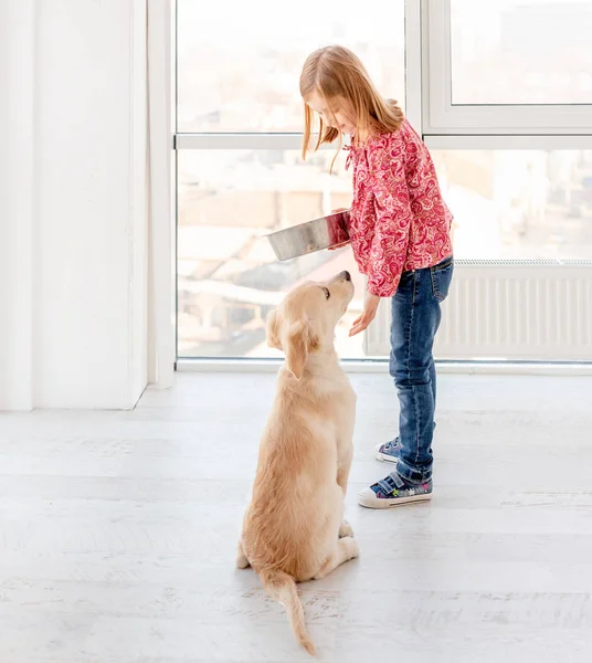 Fiatal kutya ül a lány mellett — Stock Fotó
