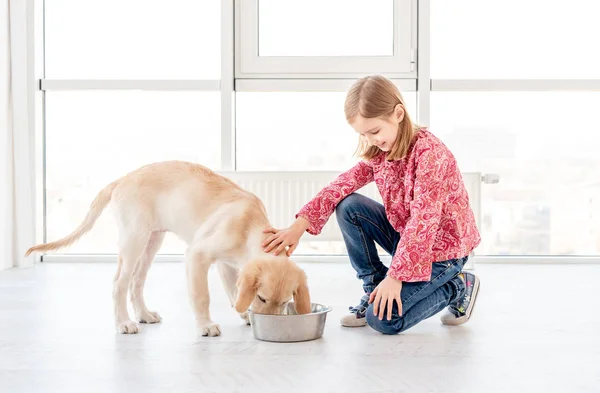 Schattig meisje voeding hond — Stockfoto