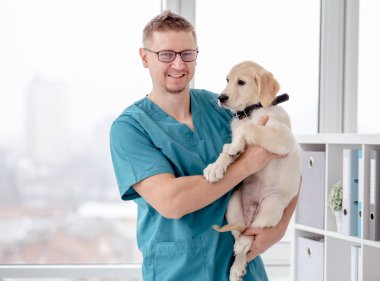 Veteriner sağlıklı bir köpek tutuyor.