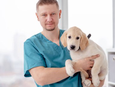 Veteriner sağlıklı bir köpek tutuyor.