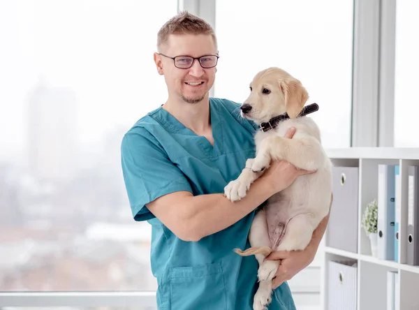 Veteriner sağlıklı bir köpek tutuyor. — Stok fotoğraf