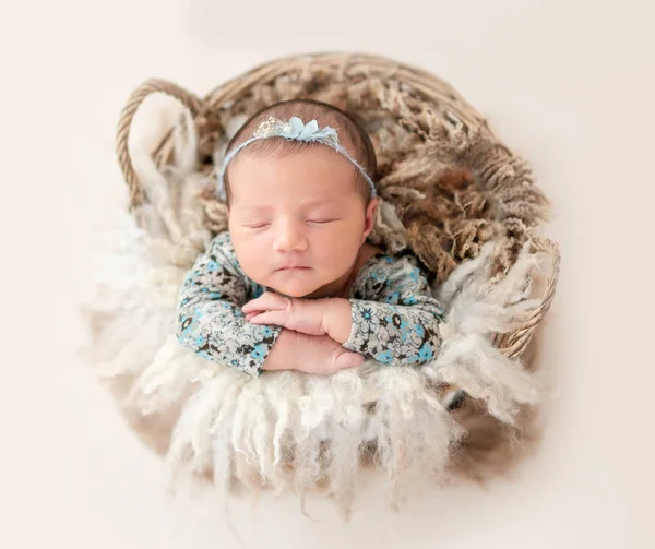 Newborn sleeping in basket — Stock Photo, Image