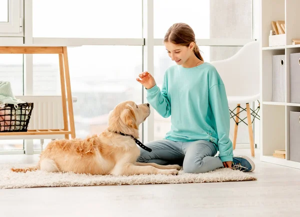 Menina bonita formação cão adorável — Fotografia de Stock