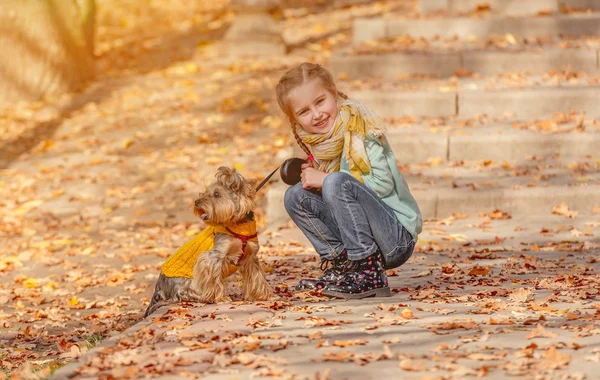 Menina bonito com yorkshire terrier — Fotografia de Stock