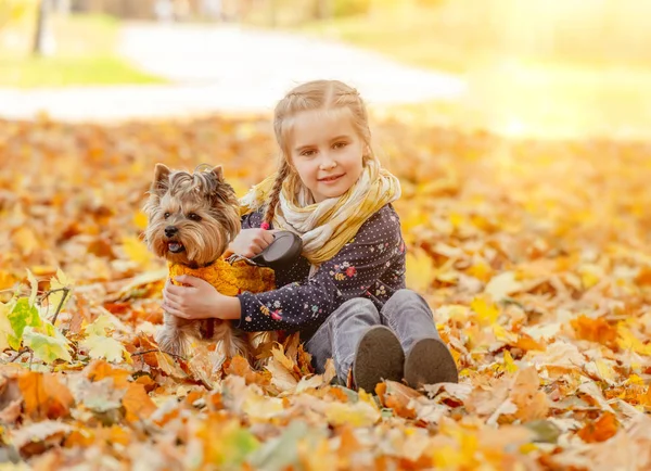 Cute girl with yorkshire terrier — Stock Photo, Image