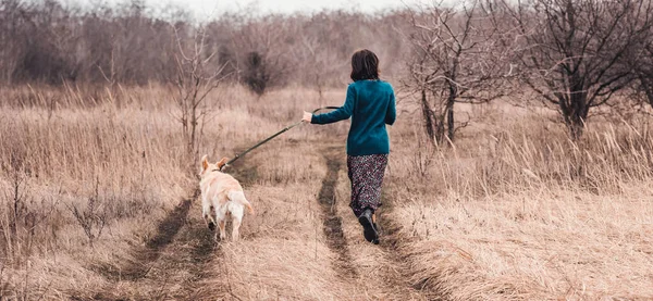 Вид сзади женщины с собакой — стоковое фото