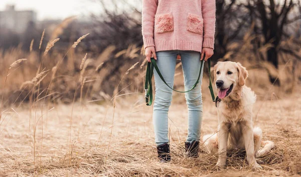 Retriever siedzi blisko dziewczyny — Zdjęcie stockowe