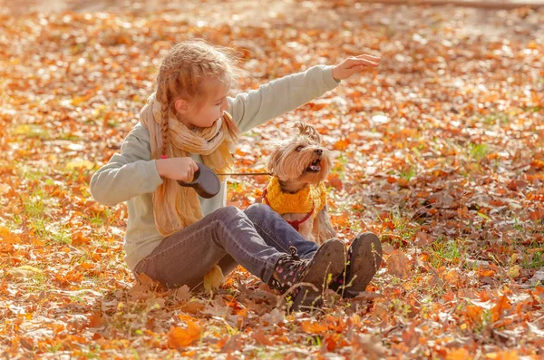 Glada flicka leker med hunden — Stockfoto