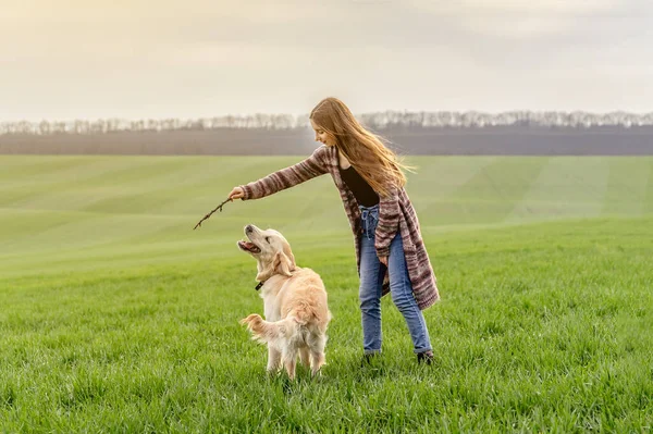 Flicka leker med retriever i naturen — Stockfoto