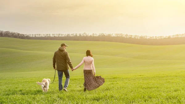 Пара выгуливающих собак на весеннем поле — стоковое фото