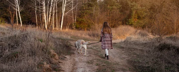 Dívka kráčí se psem při západu slunce — Stock fotografie