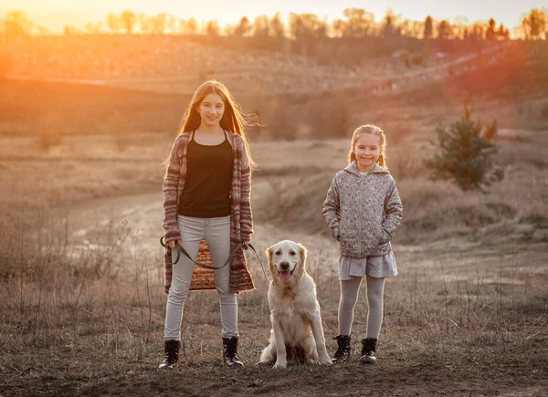 可愛い犬と美しい女の子 — ストック写真