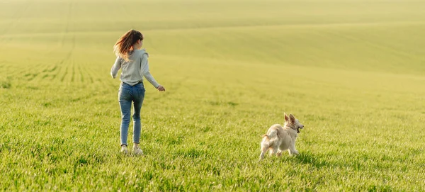 Menina com cão no campo ensolarado — Fotografia de Stock