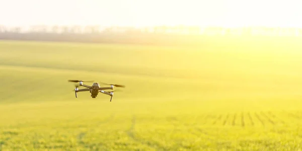 Drón repül a napfényes mező felett — Stock Fotó